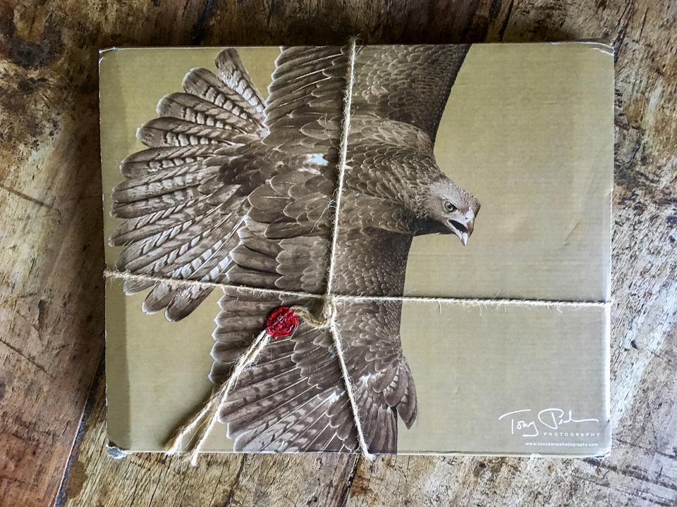 Packaging of 'Águila de Bonelli' by Tony Peral